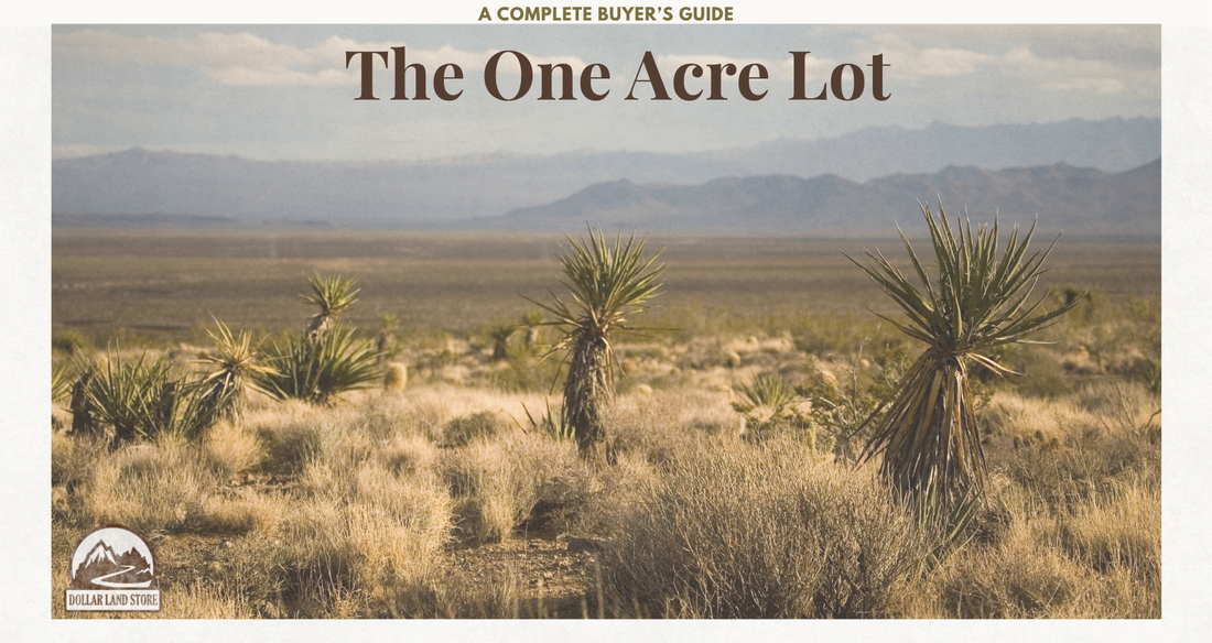 The 1 Acre Lot: A Complete Buyer's Guide