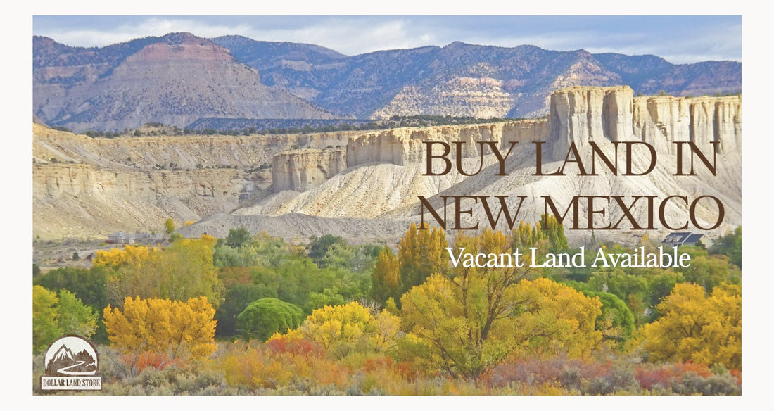 Vacant Land for Sale New Mexico: A Buyer's Guide