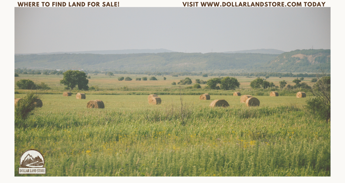 Finding the Best Website for Buying Land: A Beginner's Guide