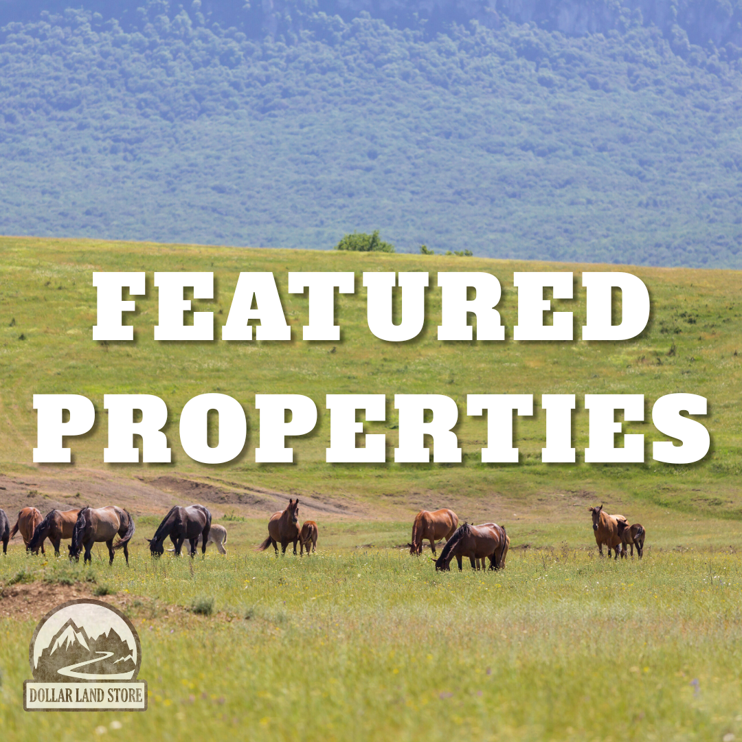 All Featured Properties