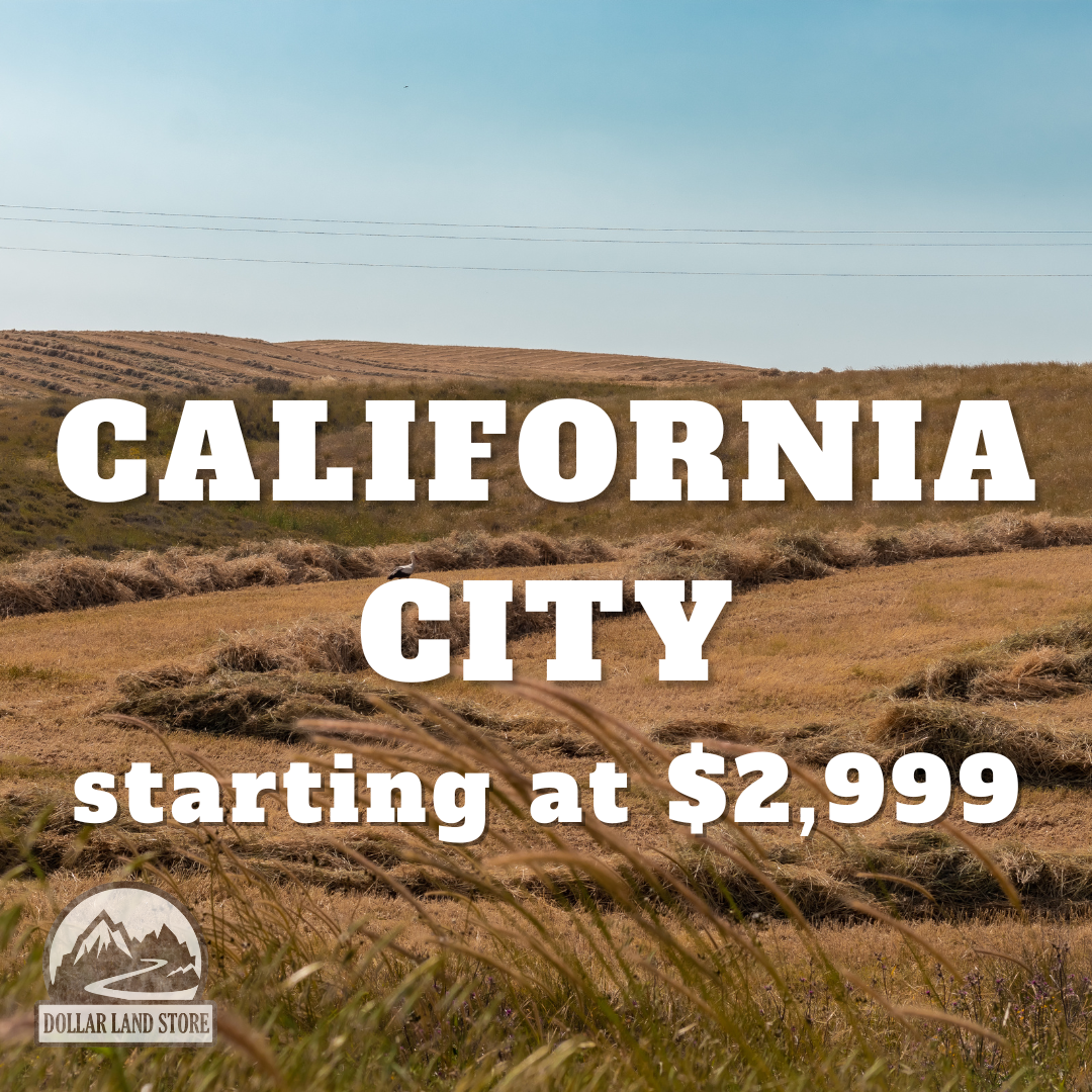 CA, California City