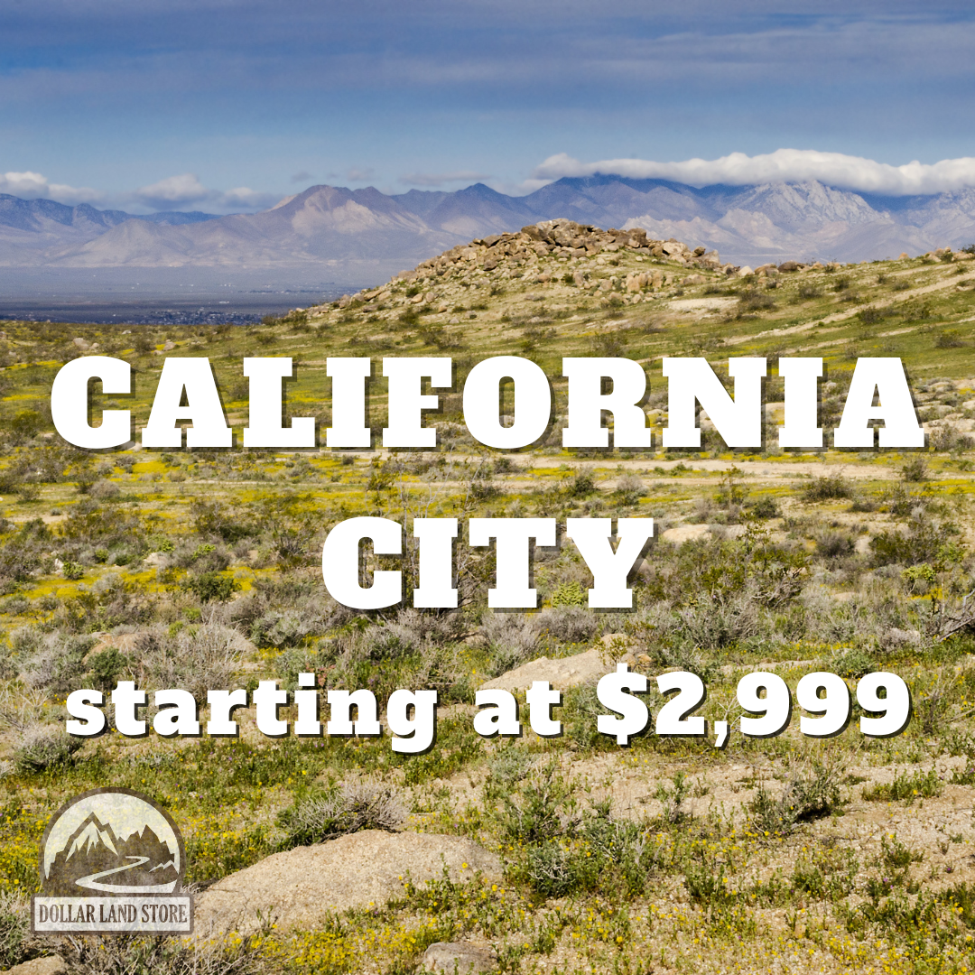 CA, California City