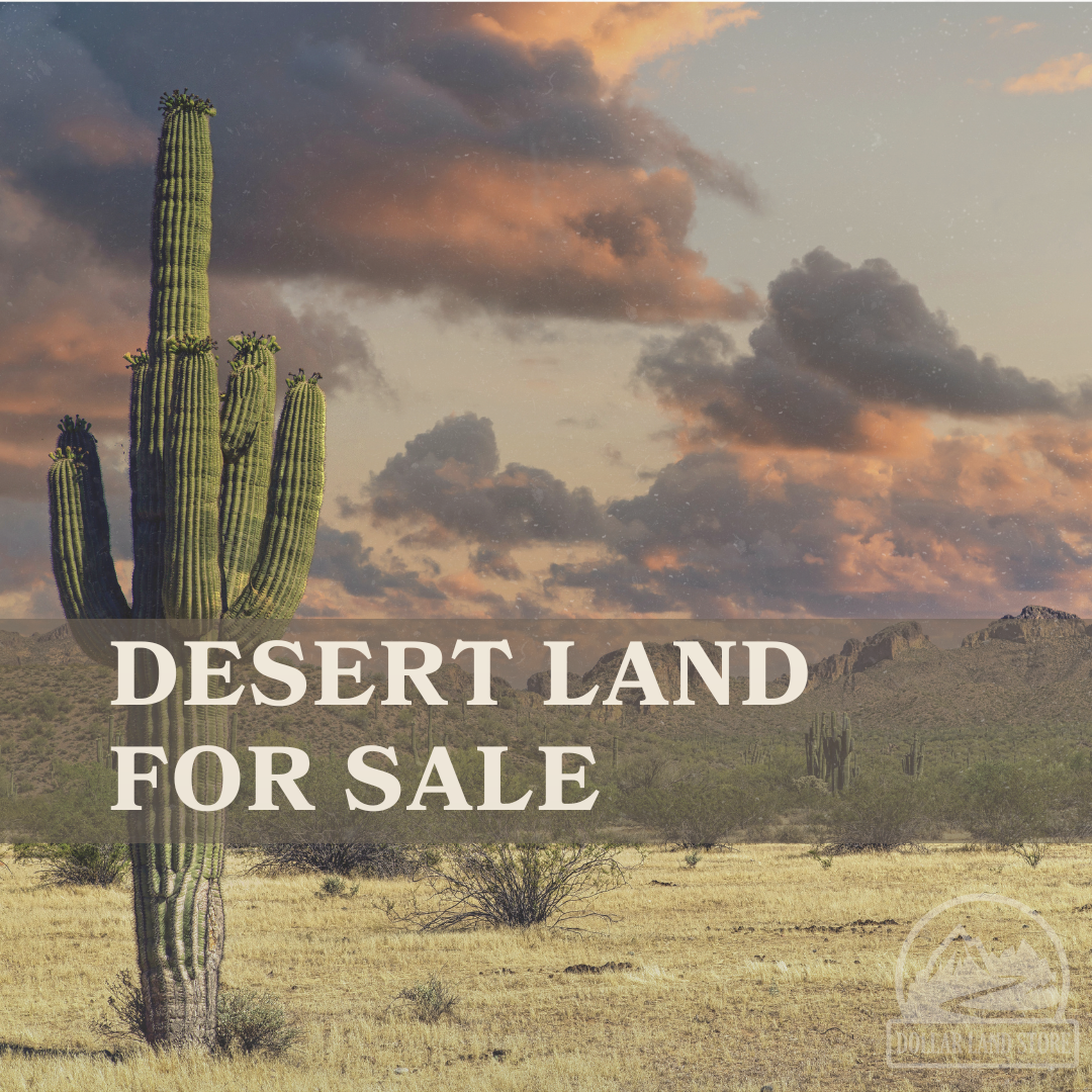 Desert Land For Sale