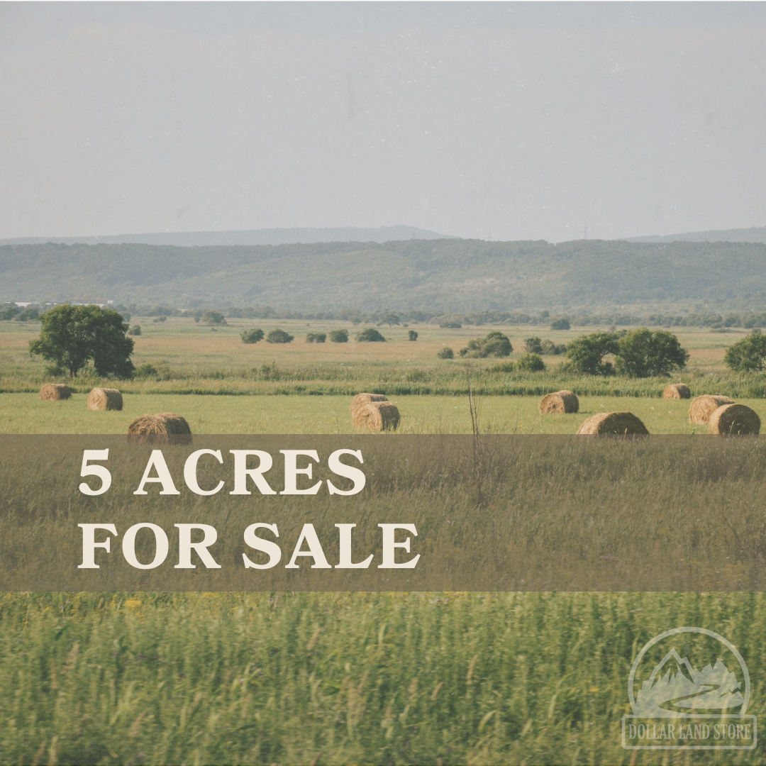 Five Acres For Sale