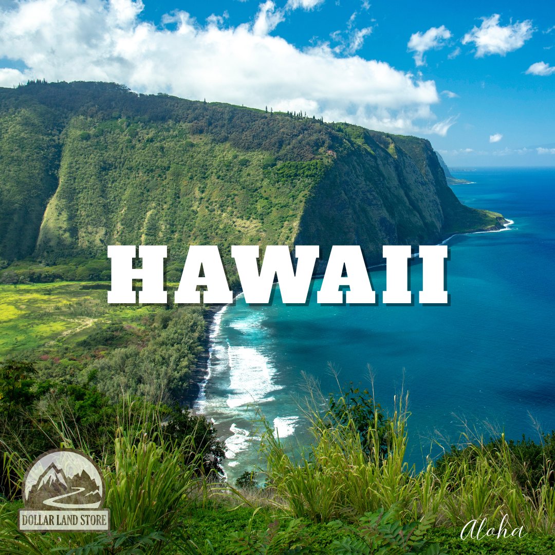 Hawaii Dollar Land Store