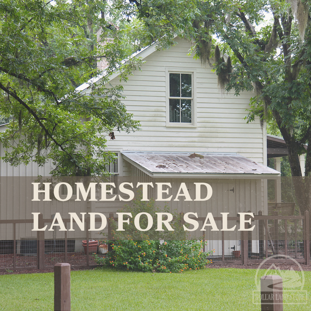 Homestead Land For Sale