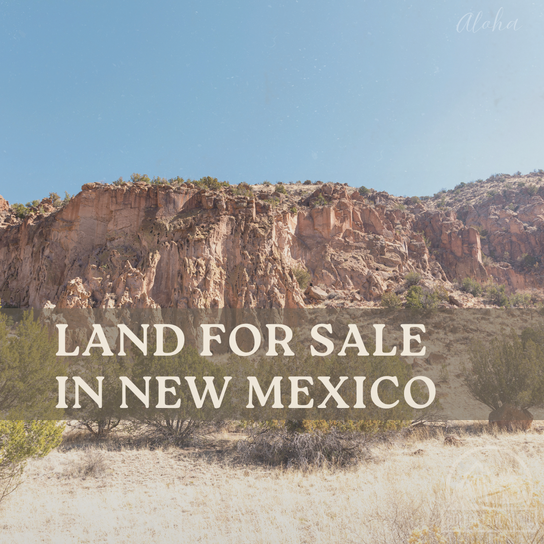 Land For Sale In New Mexico