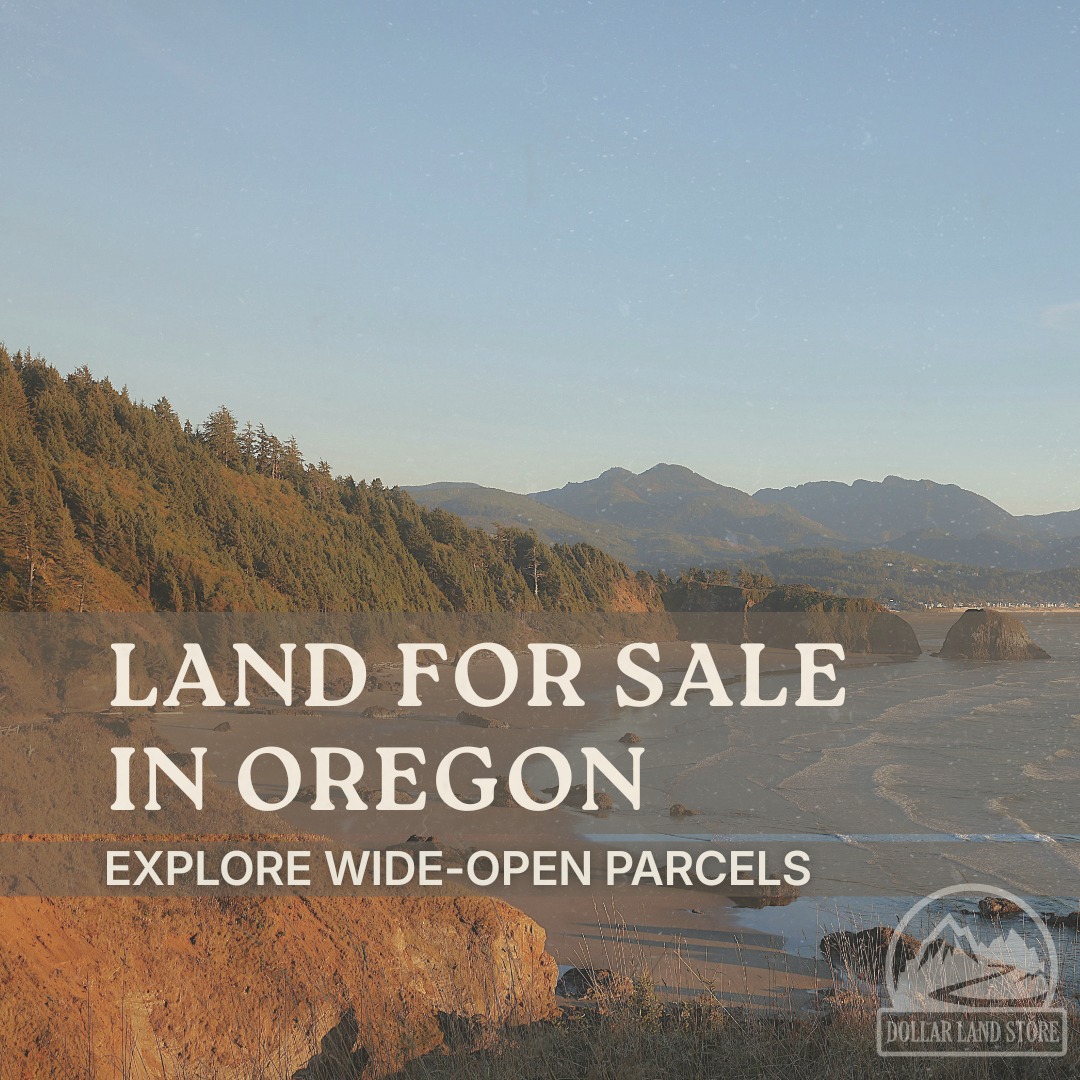 Land For Sale In Oregon: Explore Wide-Open Parcels