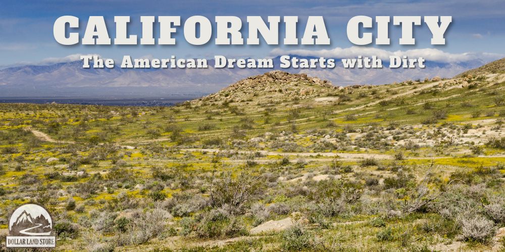 L40118-1 .20 Acre Residential lot in California City, Kern County, CA $2,999.00 ($47.54/Month)