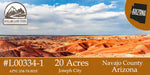 #L00334-1 20 Acres in Navajo County, AZ $14,499.00 ($164.96/Month)