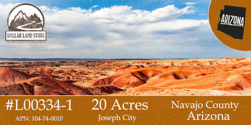 #L00334-1 20 Acres in Navajo County, AZ $14,499.00 ($164.96/Month)