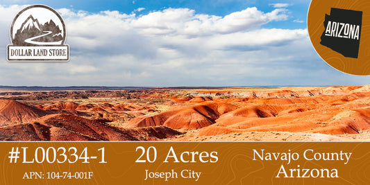 #L00334-1 20 Acres in Navajo County, AZ $14,499.00 ($164.96/Month)