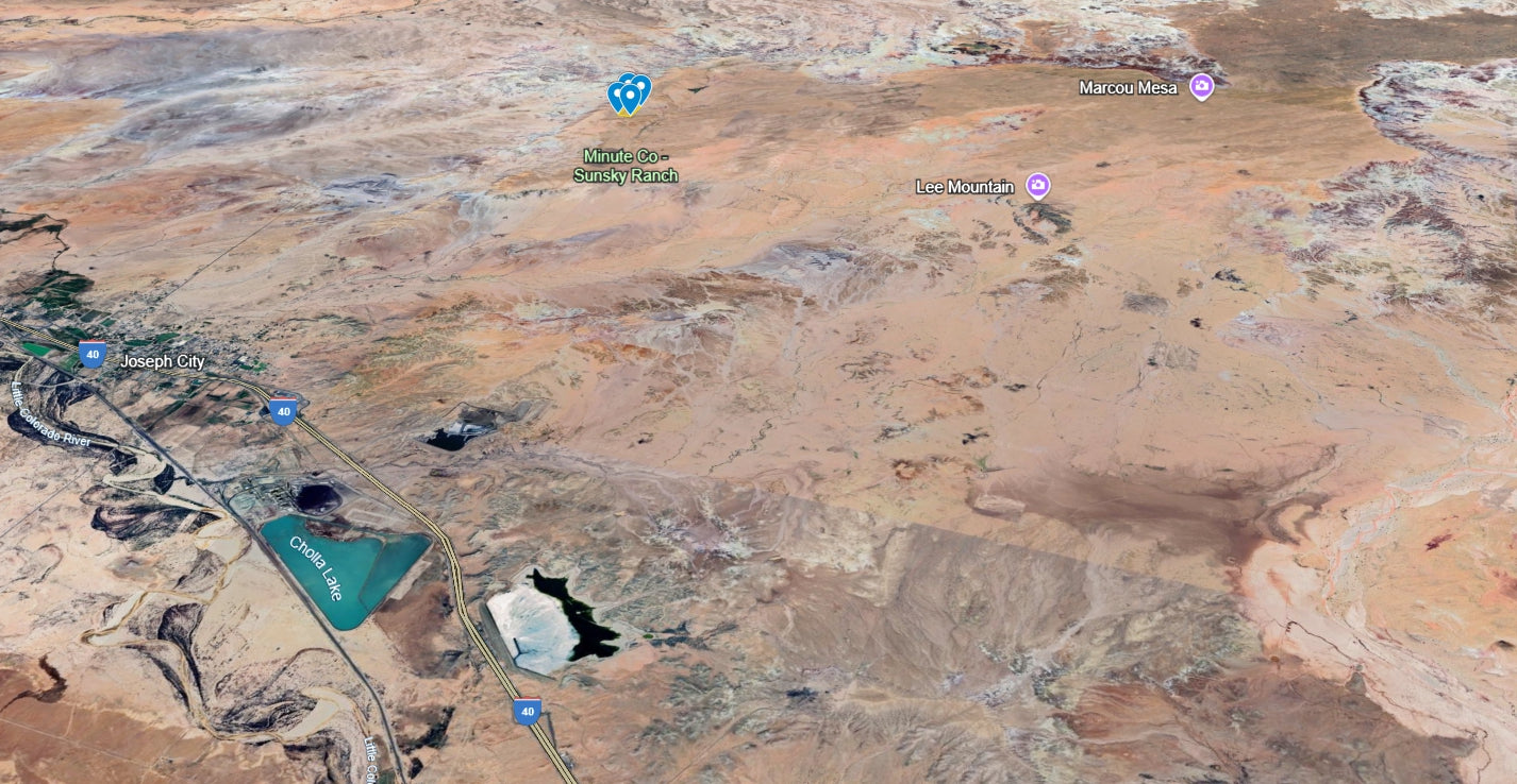 #L00334-1 20 Acres in Navajo County, AZ $14,499.00 ($164.96/Month)