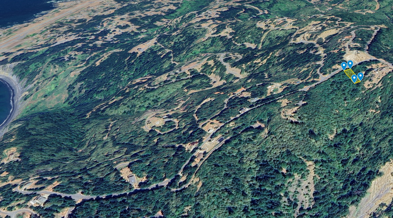 #L00472-1 .23 Acre Lot in Shelter Cove, Humboldt County CA $19,900.00 ($257.14/ Month)