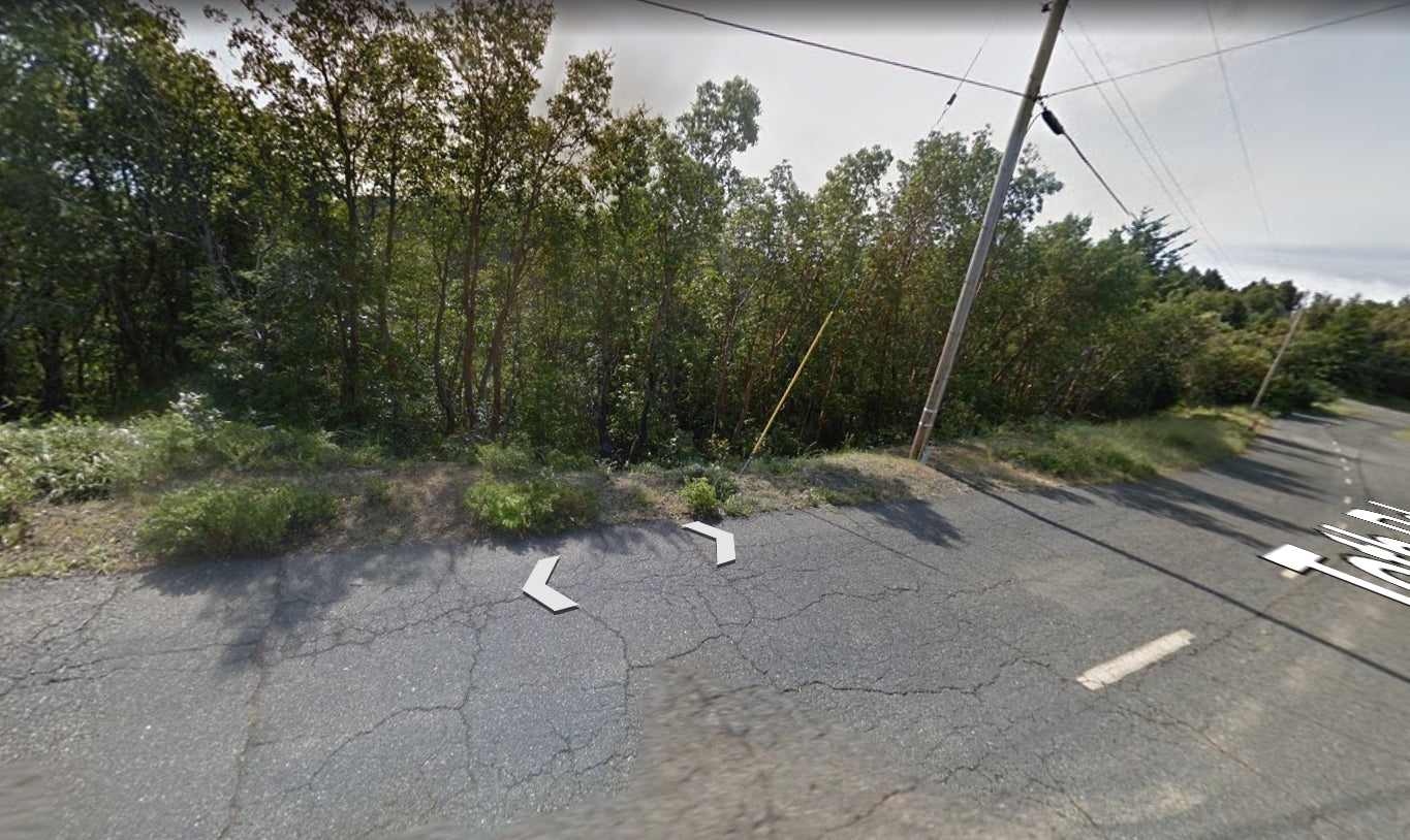 #L00472-1 .23 Acre Lot in Shelter Cove, Humboldt County CA $19,900.00 ($257.14/ Month)