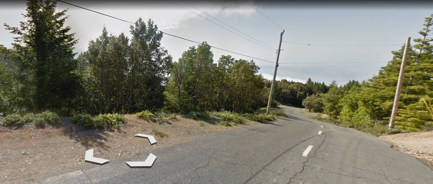 #L00472-1 .23 Acre Lot in Shelter Cove, Humboldt County CA $19,900.00 ($257.14/ Month)