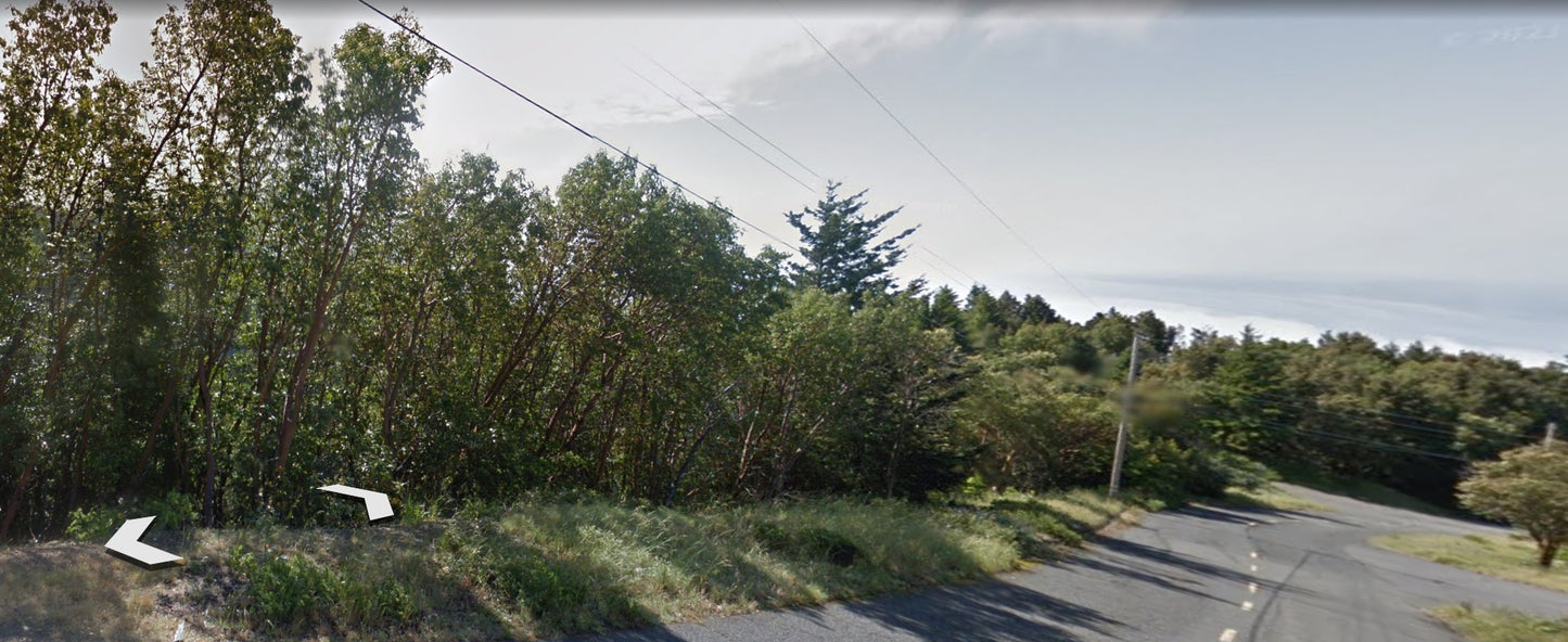 #L00472-1 .23 Acre Lot in Shelter Cove, Humboldt County CA $19,900.00 ($257.14/ Month)