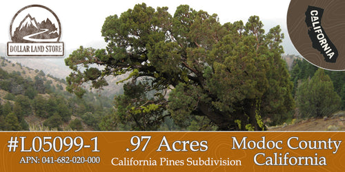 #L05099-1 .97 Acre Parcel in California Pines Modoc County, California $5,899.00 ($103.71/Month)
