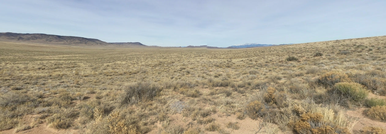 #L05973-1 5 Acres in Rio Grande Ranches, Costilla County, Colorado, near the Rio Grande $9,995.00 ($122.47/Month)