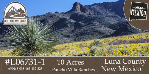 #L06731-1 10 Acres in Luna County, NM $8,999 ($111.47/Month)