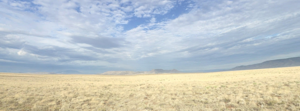 #L09636-1 5 Acres in Rio Grande Ranches, Costilla County, Colorado, near the Rio Grande $7,995.00 ($102.19/Month)