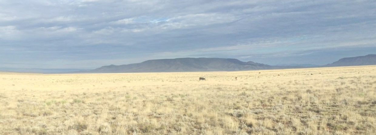 #L09642-1 5 Acres in Rio Grande Ranches, Costilla County, Colorado, near the Rio Grande $9,995.00 ($122.47/Month)