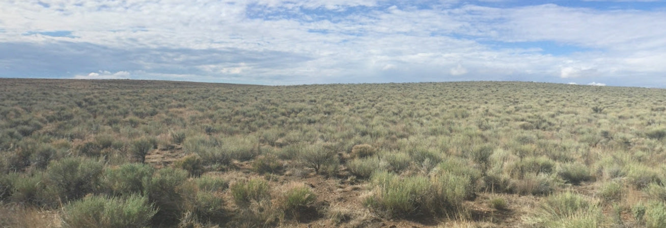 #L09644-1 5 Acres in Rio Grande Ranches, Costilla County, Colorado, near the Rio Grande $7,995.00 ($102.19/Month)