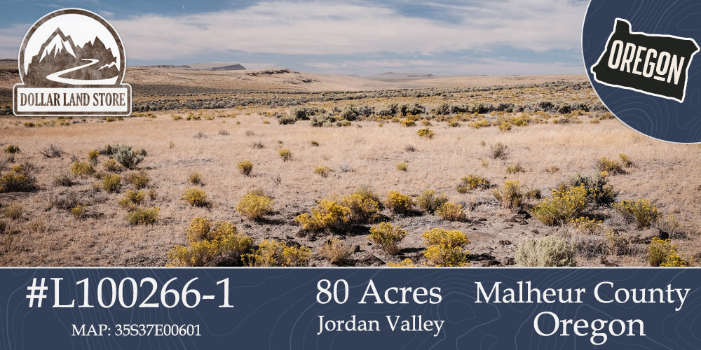 #L100266-1 80 Acres in Malheur County, OR $14,499.00 ($164.53/Month)