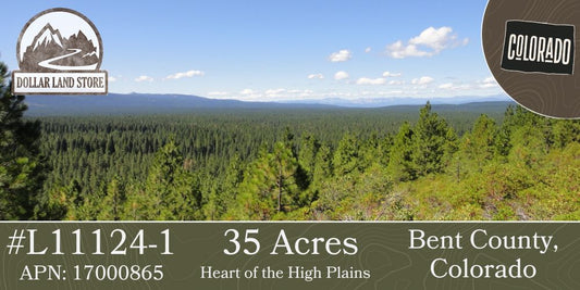 Forest landscape with text about 35 acres in Bent County, Colorado, featuring Dollar Land Store logo for lot #L11124-1.