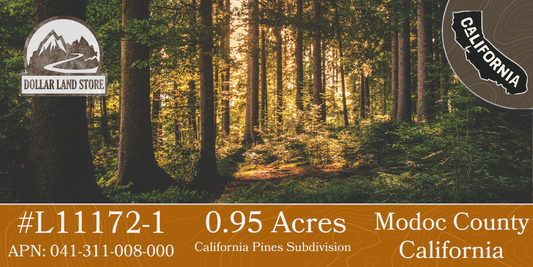 #L11172-1 0.95 Acres in California Pines, Modoc County, CA $6,299.00 ($110.52/Month)