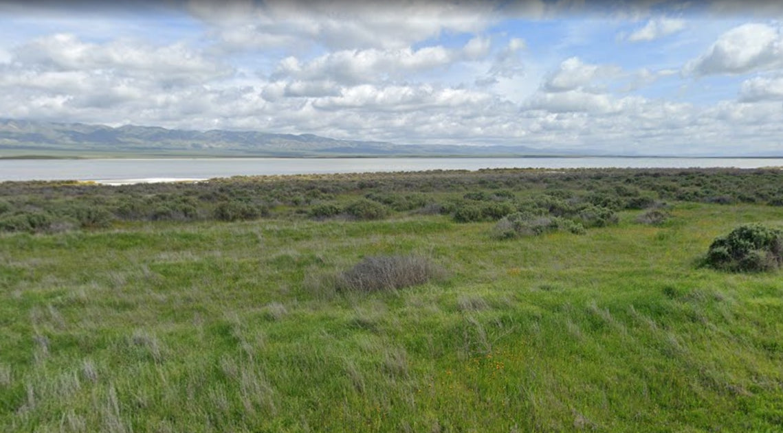#L11698-1 2.62 Acres California Valley VRL, San Luis Obispo County California $10,500.00 ($132.24/Month)