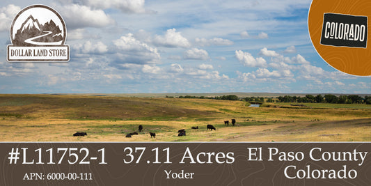 #L11752-1 37.11 Acres in El Paso County CO $59,000.00 ($752.44 / Month)