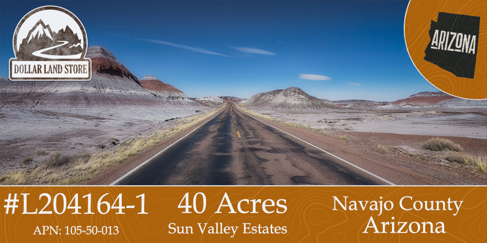 #L204164-1 40 Acres Nearby Historic Route 66, Navajo County, AZ   $25,999.00 ($282.86/Month)