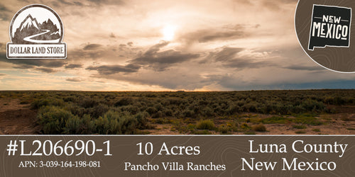 #L206690-1 10 Acres in Luna County, NM $8,999 ($111.48/Month)