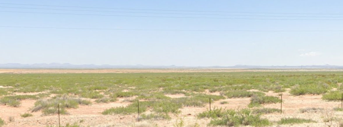 #L206729-1 10 Acres in Luna County, NM $8,999 ($111.47/Month)
