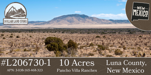 #L206730-1 10 Acres in Luna County, NM $8,999 ($111.47/Month)