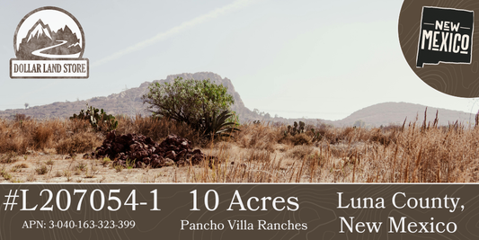 #L207054-1 10 Acres in Luna County, NM $8,999 ($111.53/Month)