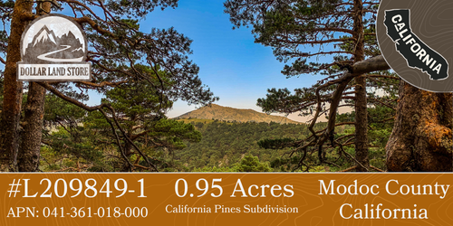 #L209849-1 .95 Acre Parcel in California Pines Modoc County, California $8,299.00 ($129.96/Month)