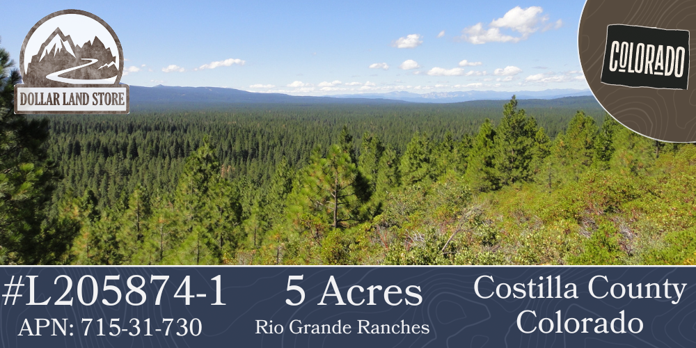 #L205874-1 5 Acres in Rio Grande Ranches, Costilla County, Colorado, near the Rio Grande $9,999.00 ($123.10/Month)
