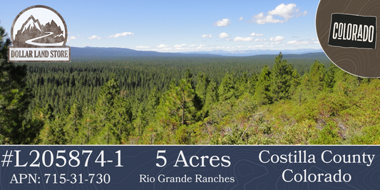 #L205874-1 5 Acres in Rio Grande Ranches, Costilla County, Colorado, near the Rio Grande $9,999.00 ($123.10/Month)