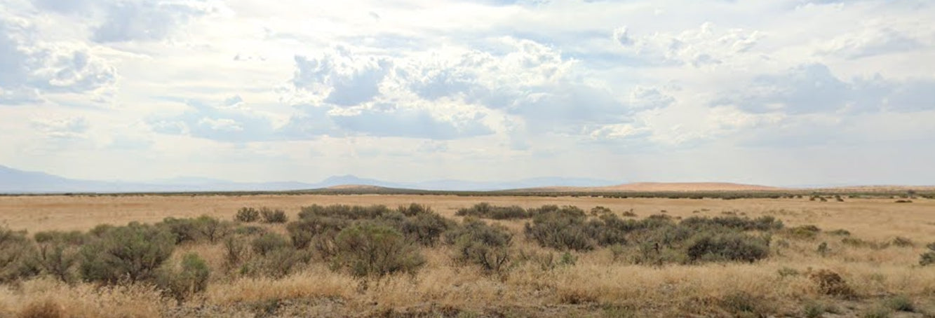 #L40066-1 39.66 Acres in Humboldt County, NV $19,995.00 ($222.56/Month)