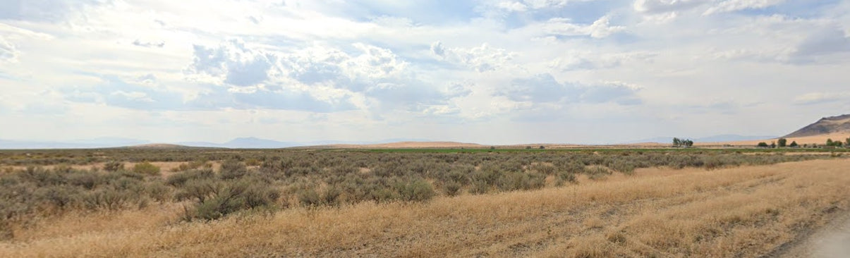 #L40067-1 39.14 Acres in Humboldt County, NV $19,995.00 ($222.56/Month)