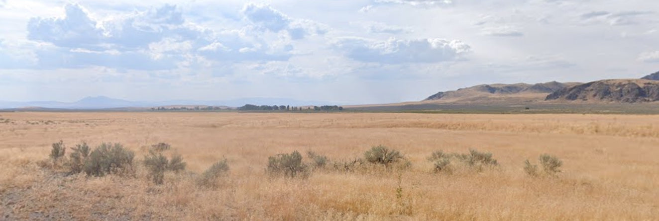 #L40069-1 37.83 Acres in Humboldt County, NV $19,995.00 ($222.56/Month)