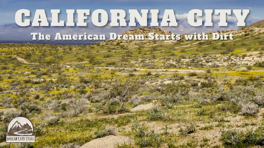 L40107-1 .17 Acre Residential lot in California City, Kern County, CA $2,999.00 ($48.69/Month)