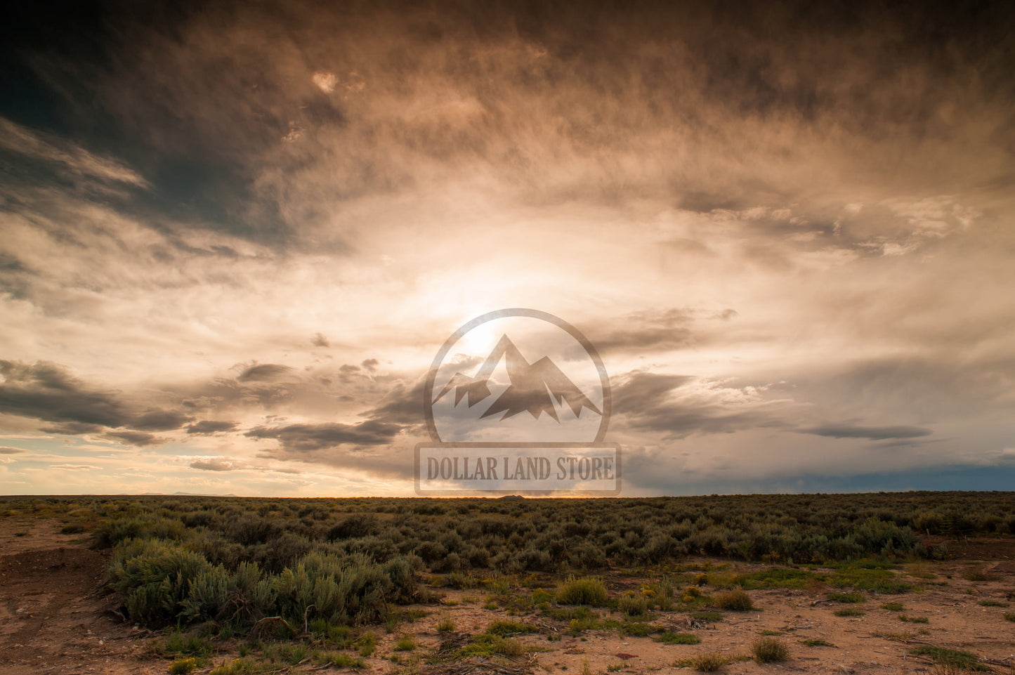 #L207050-1 10 Acres in Luna County, NM $9,999 ($121.61/Month)