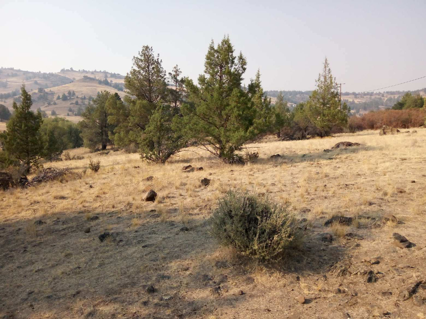 L40007-1 1.02 Acres in KCRE Near the Klamath River, Siskiyou County, CA $14,999.00 ($211.29/Month)