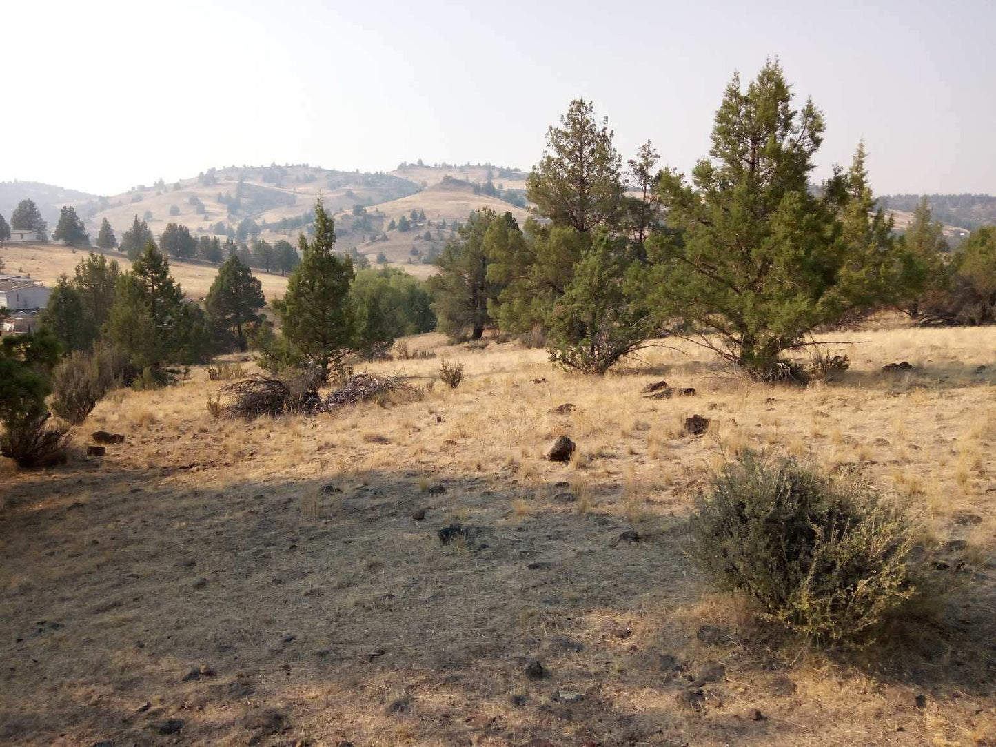 L40007-1 1.02 Acres in KCRE Near the Klamath River, Siskiyou County, CA $14,999.00 ($211.29/Month)