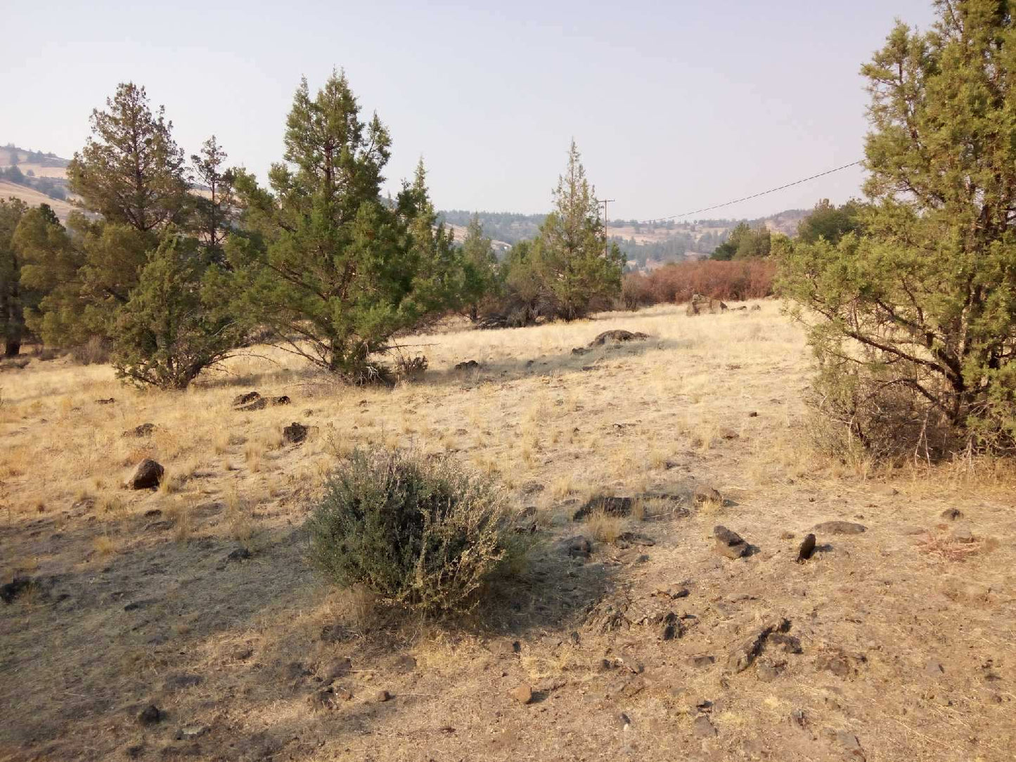 L40007-1 1.02 Acres in KCRE Near the Klamath River, Siskiyou County, CA $14,999.00 ($211.29/Month)