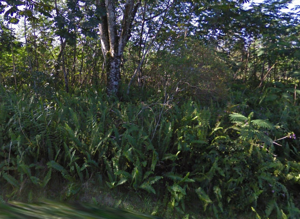 #L03748-1 Beautiful Lot in Nanawale Estates, Hawaii $15,899.00 ($201.91/Month)