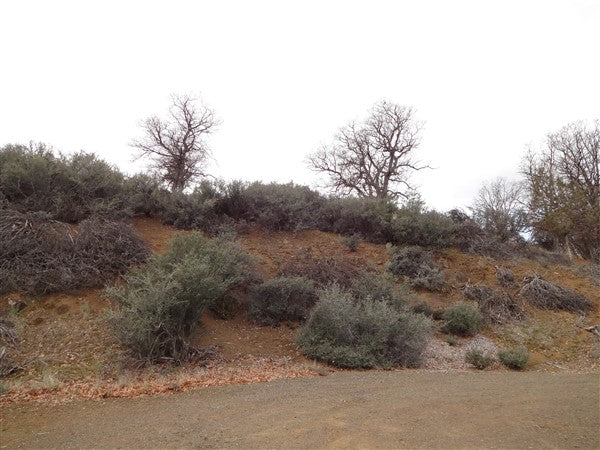 #L40003-  1.10 Acres in KCRE feet from the Klamath River, Siskiyou County, CA $13,999.00 ($176.07/Month)